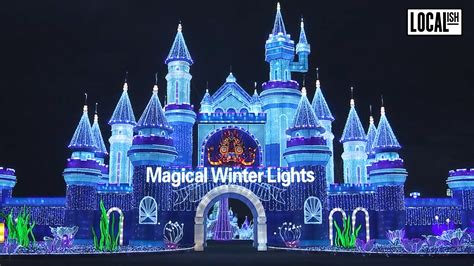 Experience the Extravaganza of Magical Winter Lights Carnival